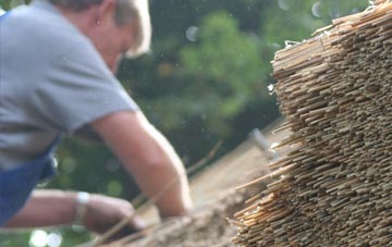 professional Glyntawe thatchers